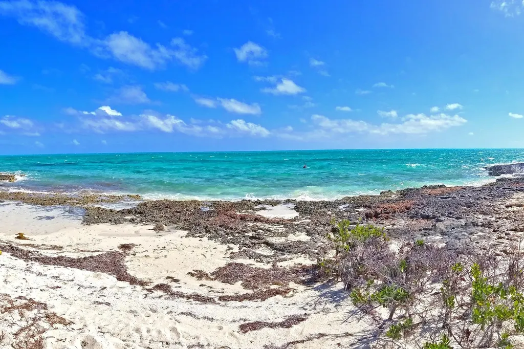 Swain's Cay Andros BS