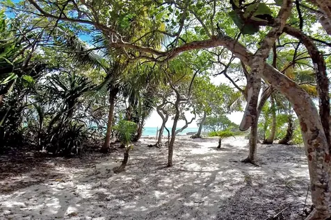 Swain's Cay Andros BS
