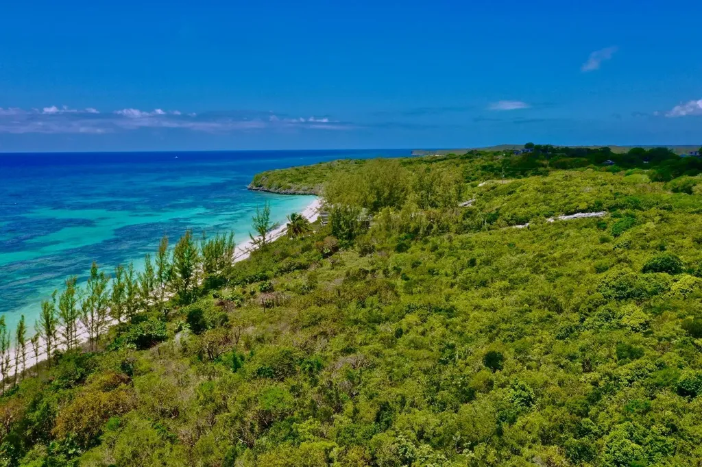 Flamingo Bay Beachfront Cat Island BS