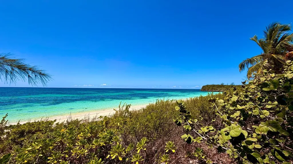 Flamingo Bay Beachfront Cat Island BS