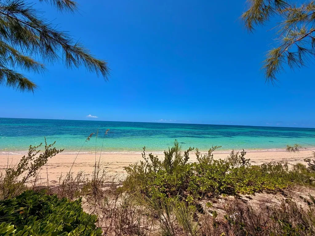Flamingo Bay Beachfront Cat Island BS