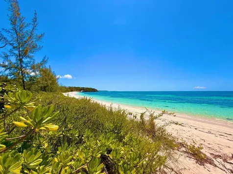 Flamingo Bay Beachfront Cat Island BS
