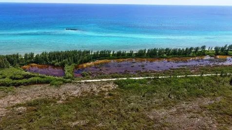 Holmes Rock Beachfront Abaco BS