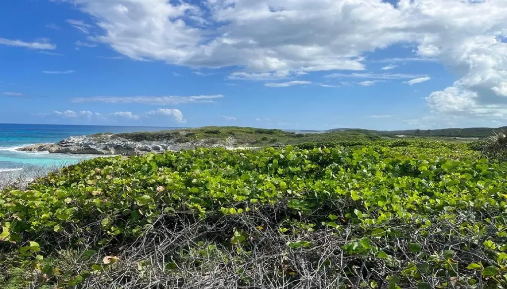 Oceanview Lot 1b, Millers Long Island BS