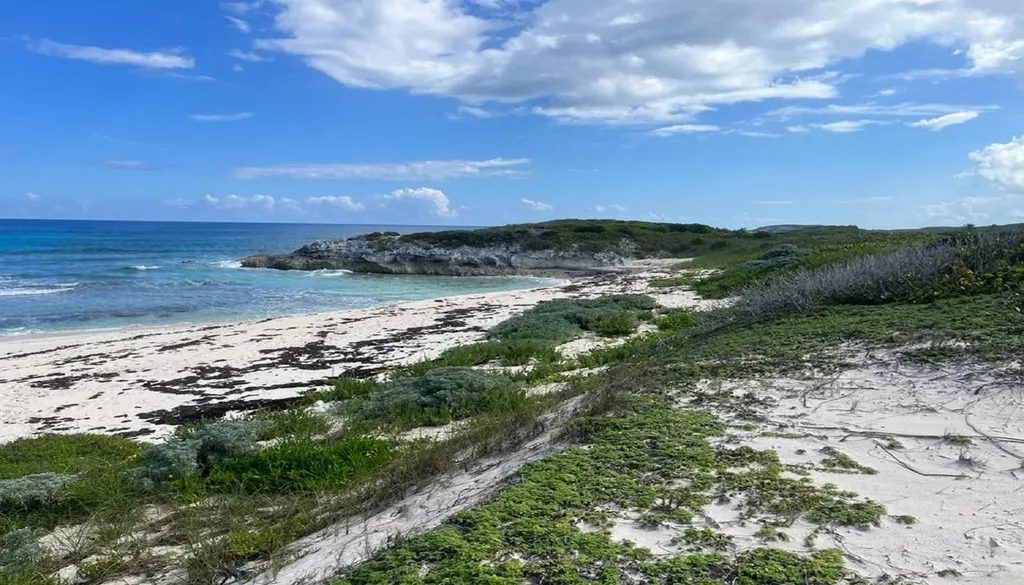 Oceanview Lot 1b, Millers Long Island BS
