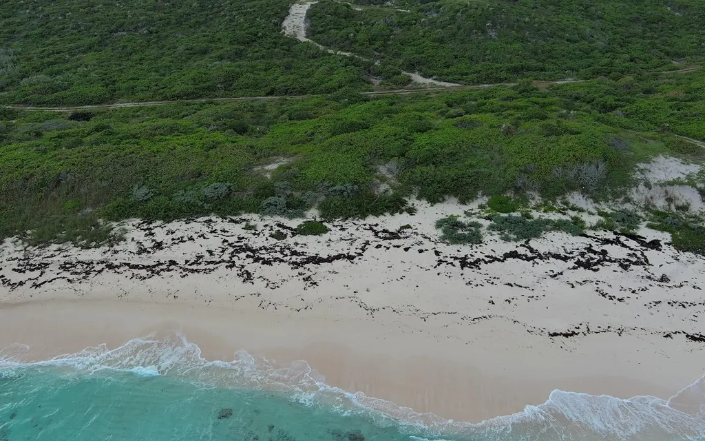 Oceanview Lot 1b, Millers Long Island BS