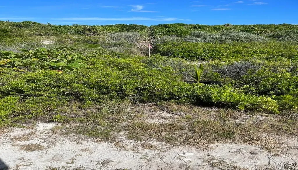 Oceanview Lot 1b, Millers Long Island BS