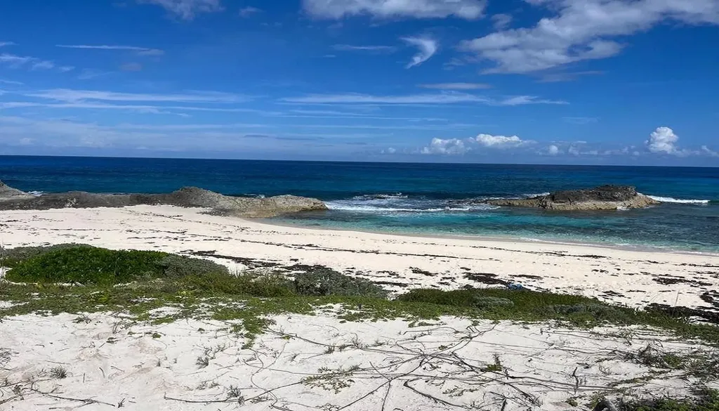 Oceanview Lot 1b, Millers Long Island BS