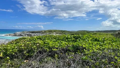 Oceanview Lot 1b, Millers Long Island BS