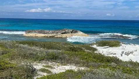 Oceanview Lot 1b, Millers Long Island BS