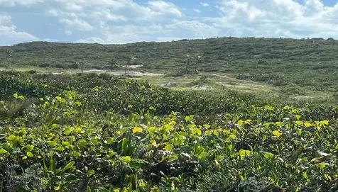Oceanview Lot 1b, Millers Long Island BS