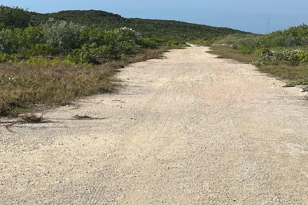 Oceanview Lot 1, Millers Long Island BS