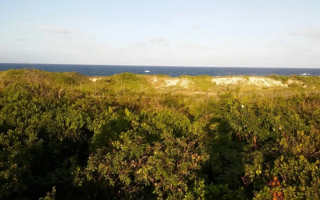 Oceanview Lot 1, Millers Long Island BS