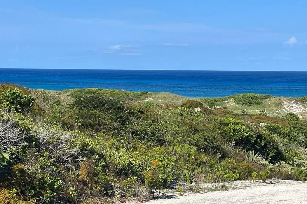 Oceanview Lot 1, Millers Long Island BS