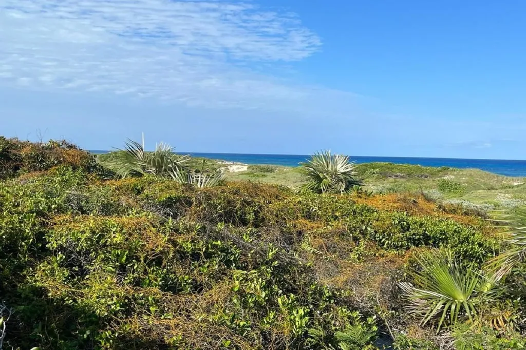 Oceanview Lot 1, Millers Long Island BS