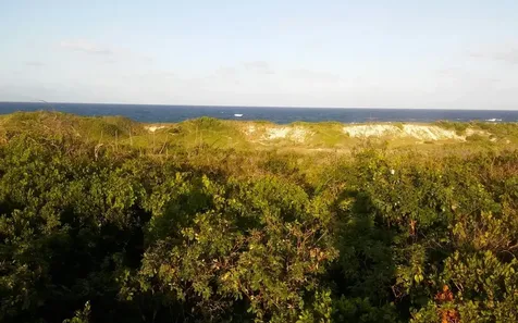 Oceanview Lot 1, Millers Long Island BS