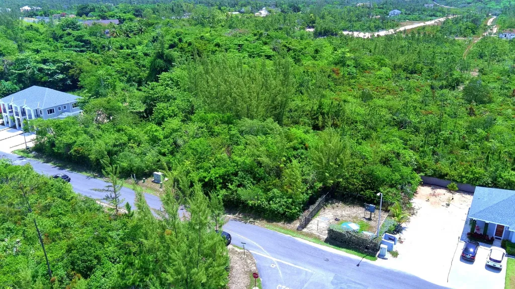 Tall Pines Drive New Providence Paradise Island BS