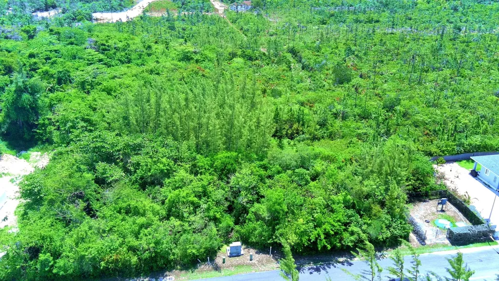 Tall Pines Drive New Providence Paradise Island BS