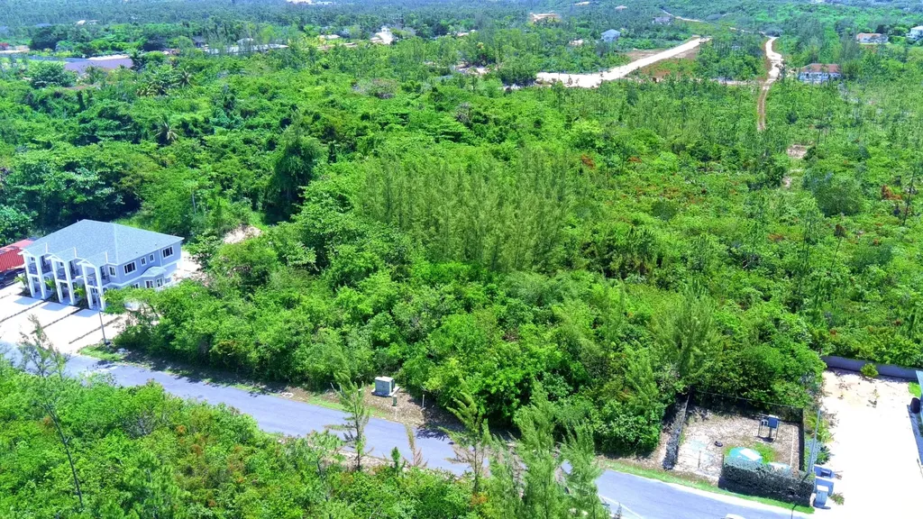 Tall Pines Drive New Providence Paradise Island BS