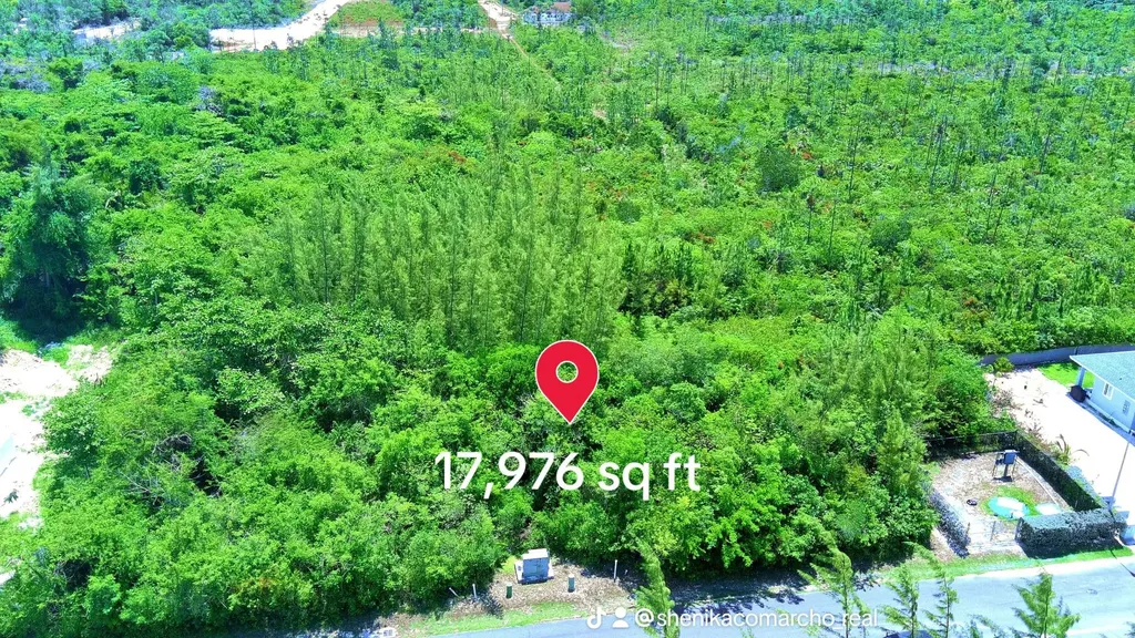 Tall Pines Drive New Providence Paradise Island BS