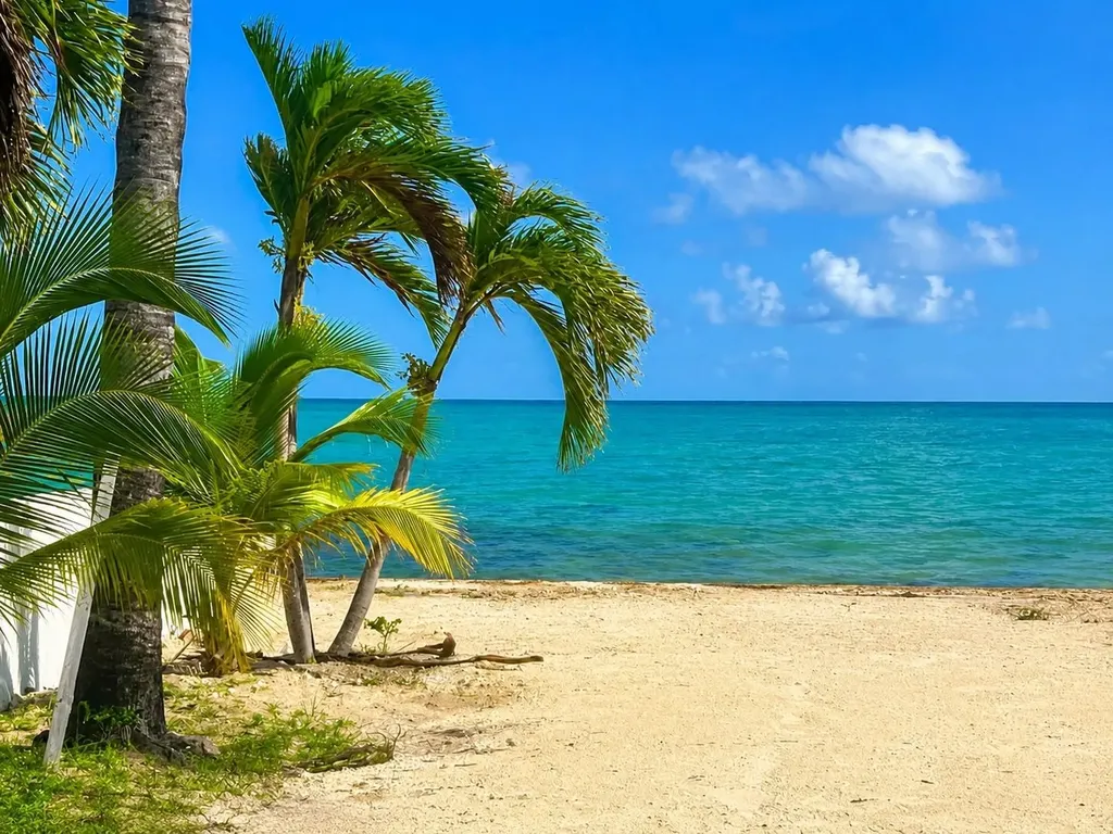 Venice Bay Ocean Frnt Lot New Providence Paradise Island BS