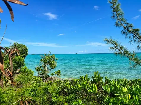 Venice Bay Ocean Frnt Lot New Providence Paradise Island BS