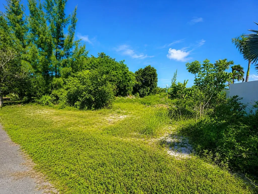 Venice Bay Ocean Frnt Lot New Providence Paradise Island BS