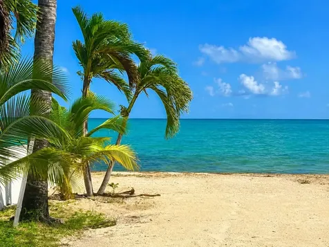 Venice Bay Ocean Frnt Lot New Providence Paradise Island BS