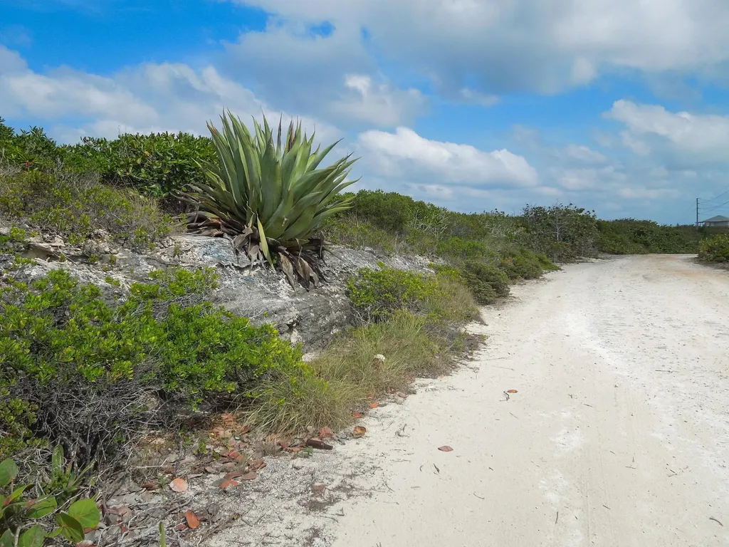 Whale Point Drive Eleuthera BS