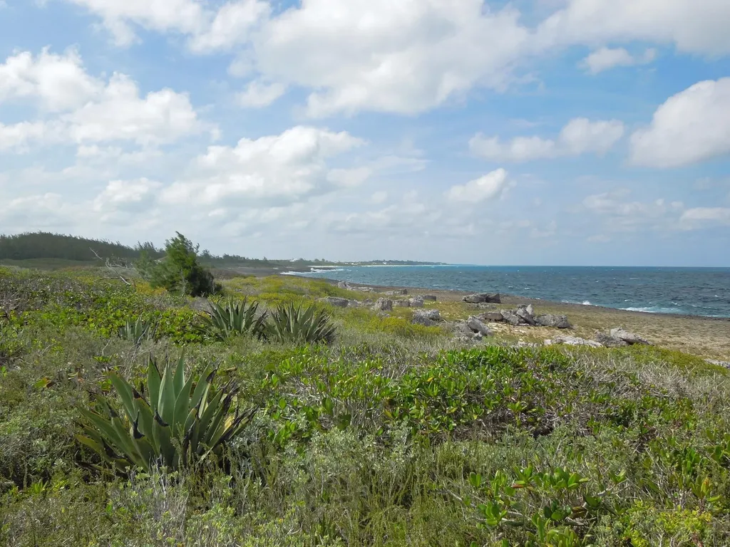 Whale Point Drive Eleuthera BS