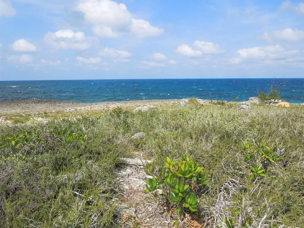 Whale Point Drive Eleuthera BS