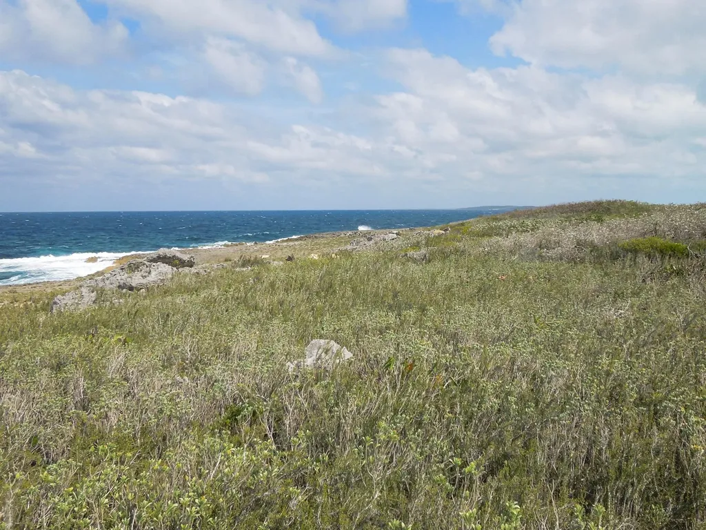 Whale Point Drive Eleuthera BS