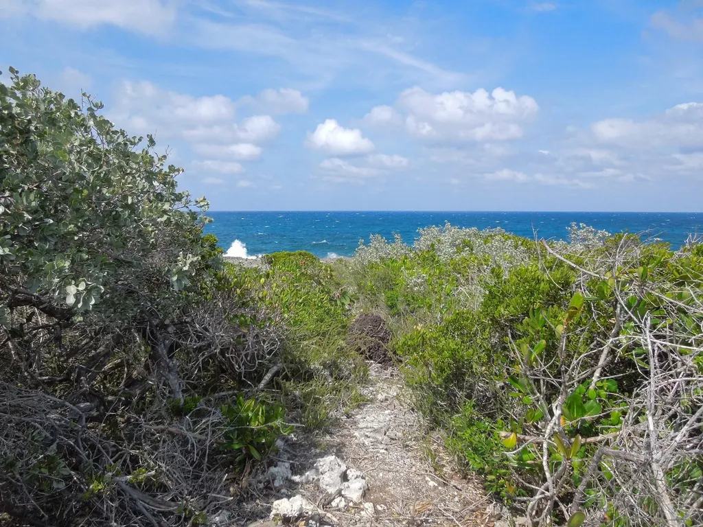 Whale Point Drive Eleuthera BS