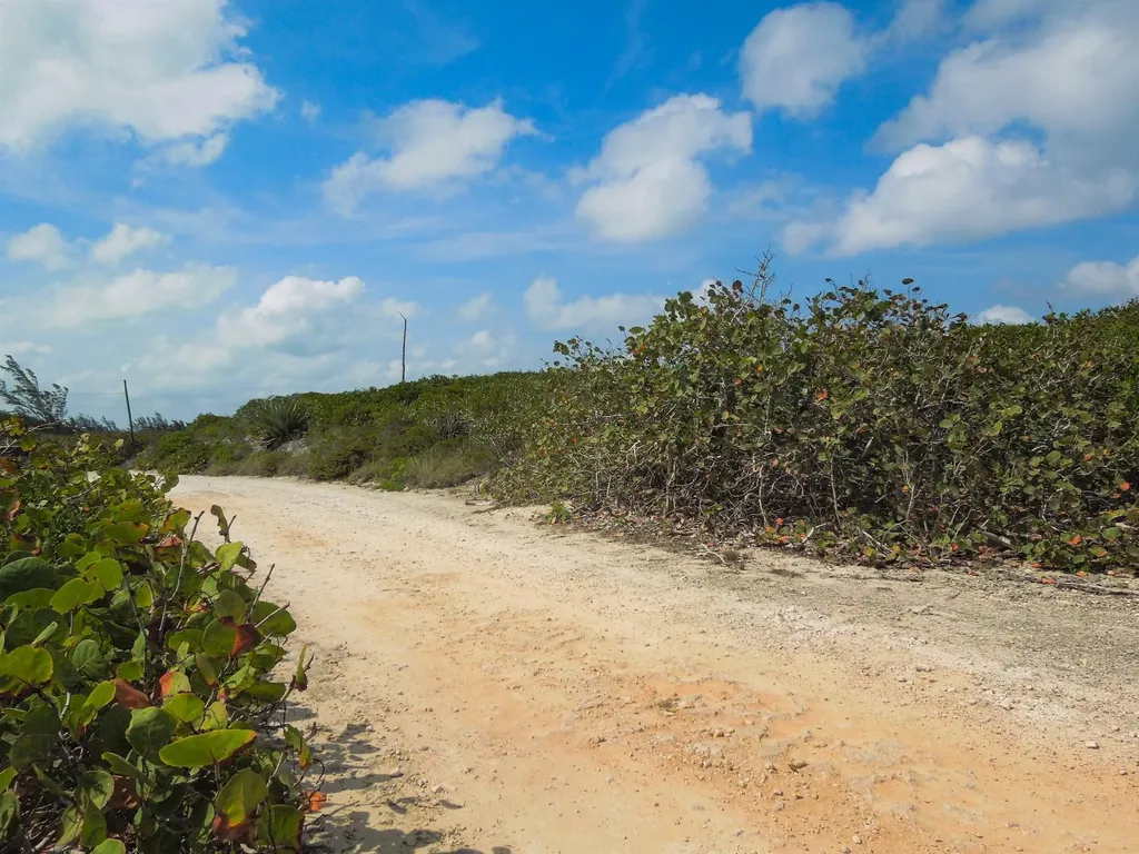 Whale Point Drive Eleuthera BS