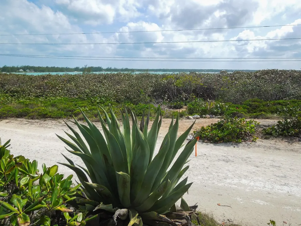 Whale Point Drive Eleuthera BS