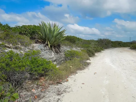 Whale Point Drive Eleuthera BS