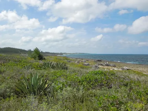 Whale Point Drive Eleuthera BS
