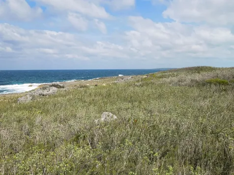 Whale Point Drive Eleuthera BS