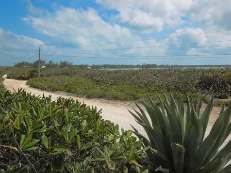 Whale Point Drive Eleuthera BS
