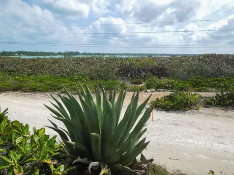 Whale Point Drive Eleuthera BS