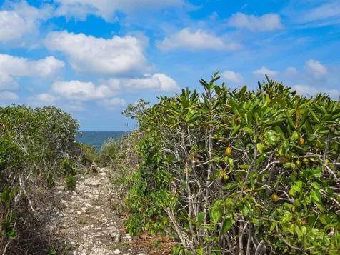 Whale Point Drive Eleuthera BS