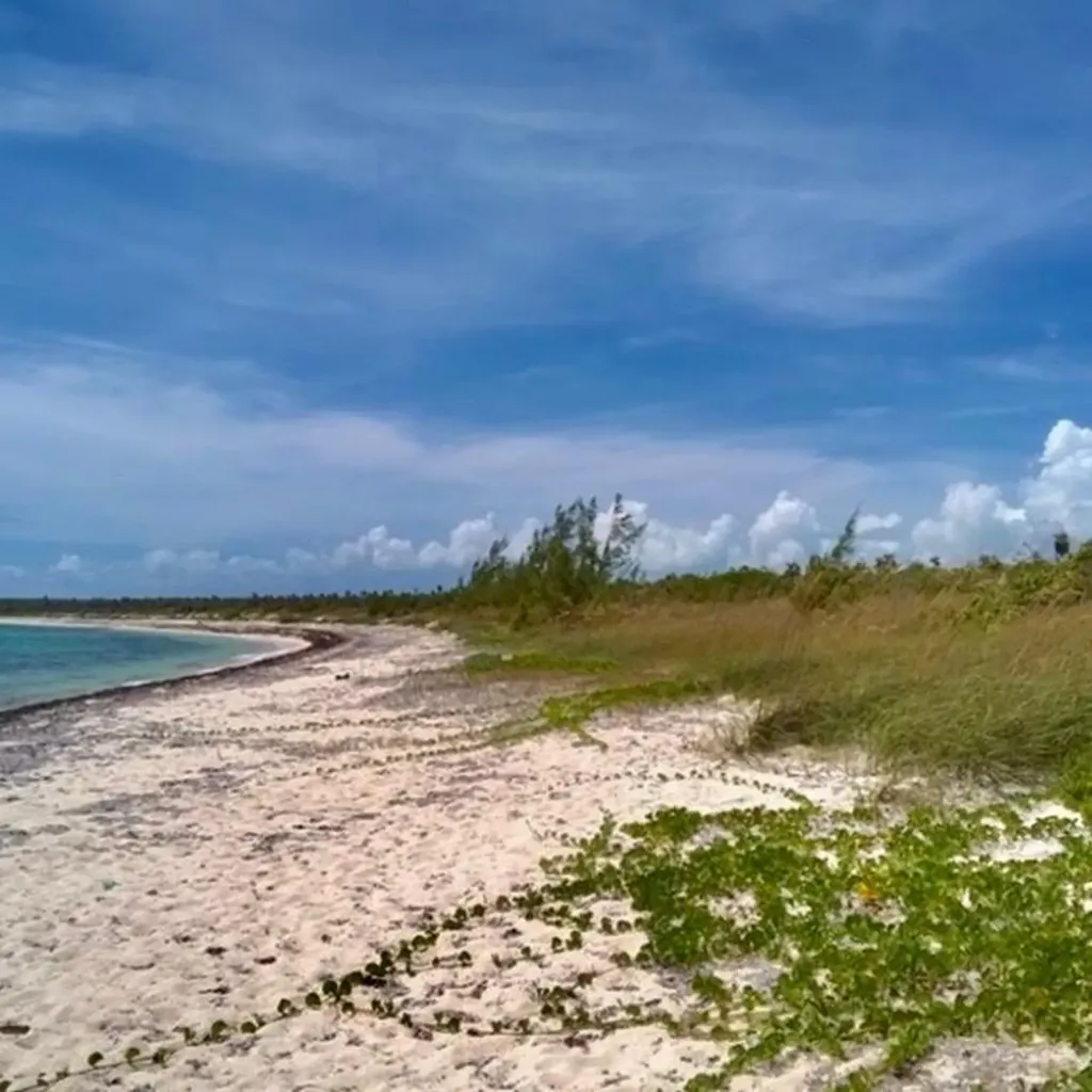 220 Acres Beachfront Long Long Island BS