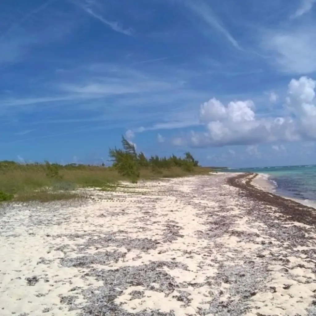 220 Acres Beachfront Long Long Island BS