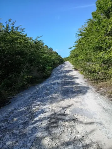 Bahama Sound Boulevard Exuma BS