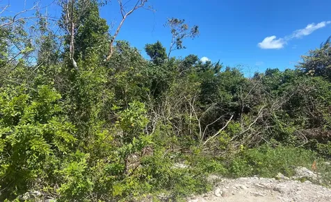 Lot 5, Jacaranda New Providence Paradise Island BS