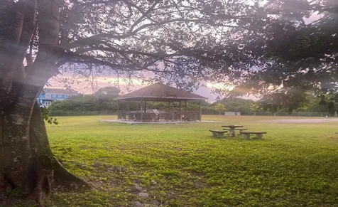 Lot 5, Jacaranda New Providence Paradise Island BS