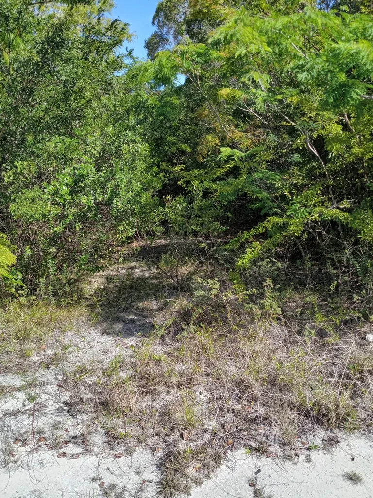 Bahama Sound Boulevard Exuma BS