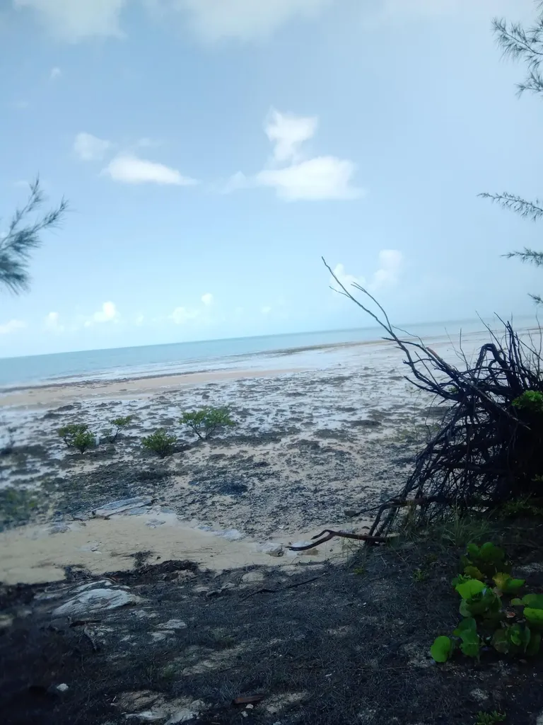 Bahama Sound Boulevard Exuma BS