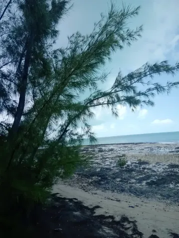 Bahama Sound Boulevard Exuma BS