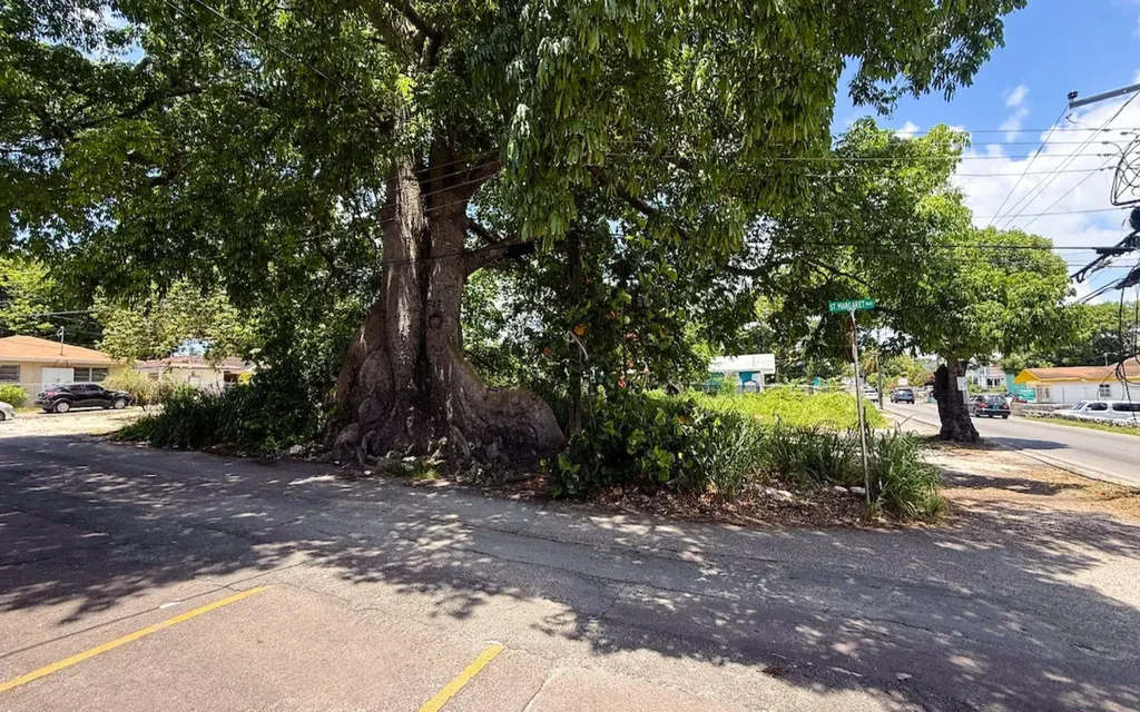 Shirley Street Lot New Providence Paradise Island BS